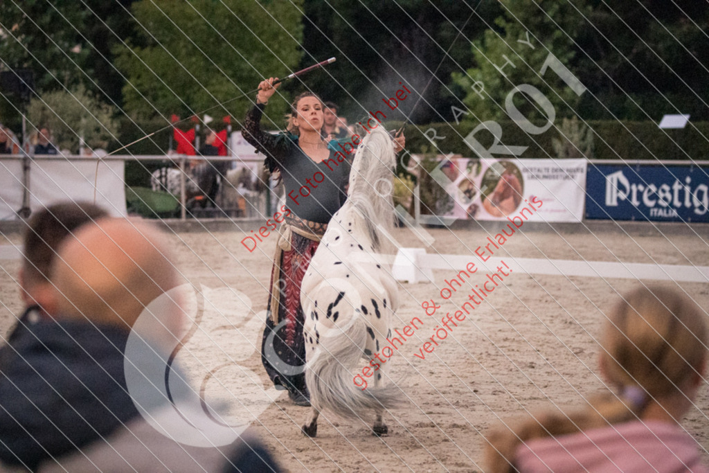 DSC_0137 | Sport-, Event- und Tierfotos in Profiqualität. Einfach auswählen, bestellen und herunterladen. Dein Moment – perfekt festgehalten.