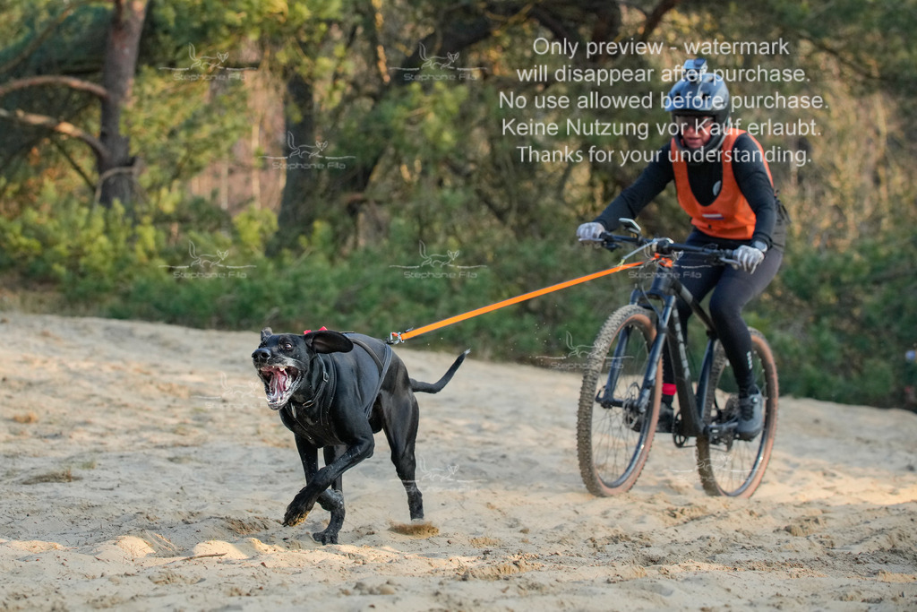 So_Bike-400 | stephaniefillaphotographie - Realisiert mit Pictrs.com