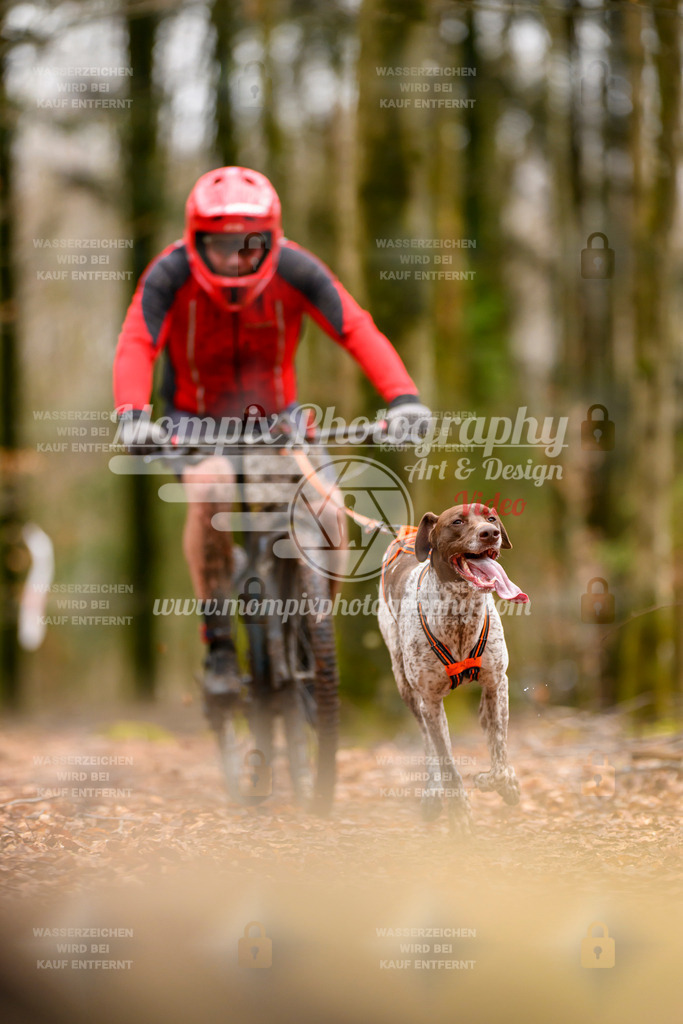 MompixPhotography_Habay2024_SA_Bike-60 | mompixphotography