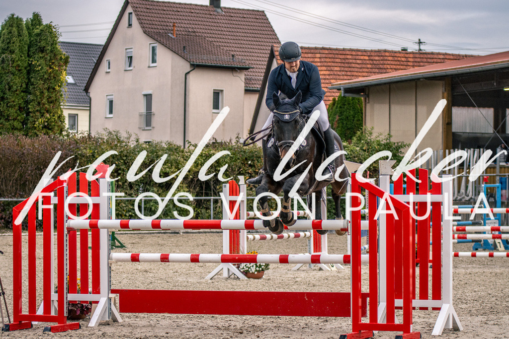 IMG_6025 | Erleben Sie dynamische Sport- und emotionale Tierfotografie in Süddeutschland mit Fotos von Paula. Spezialisiert auf Pferde- und Hundefotografie sowie Sportevents. Kontaktieren Sie mich für einzigartige und ausdrucksstarke Bilder Ihrer besonderen Momente. - Realisiert mit Pictrs.com