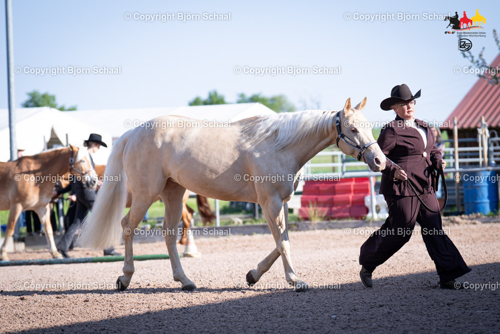 LMB07066 | BS-foto