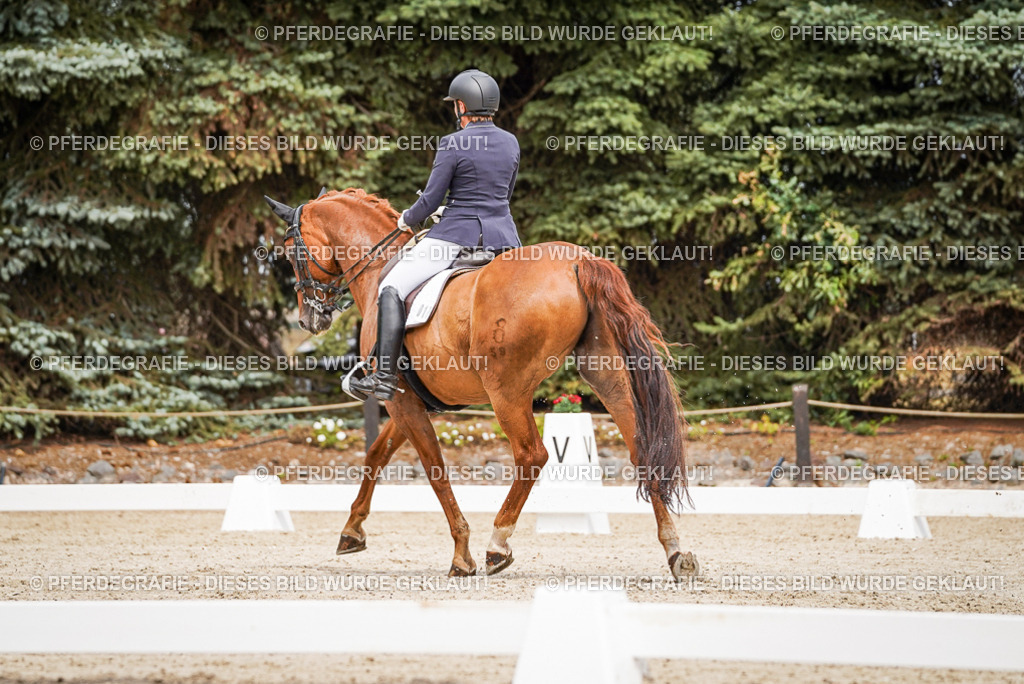 DSC04976 | Pferdegrafie