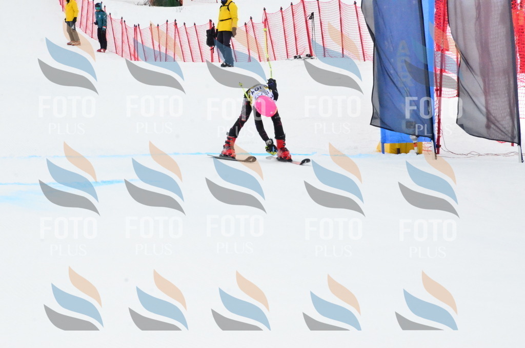 _ELE3551 | holidayphoto