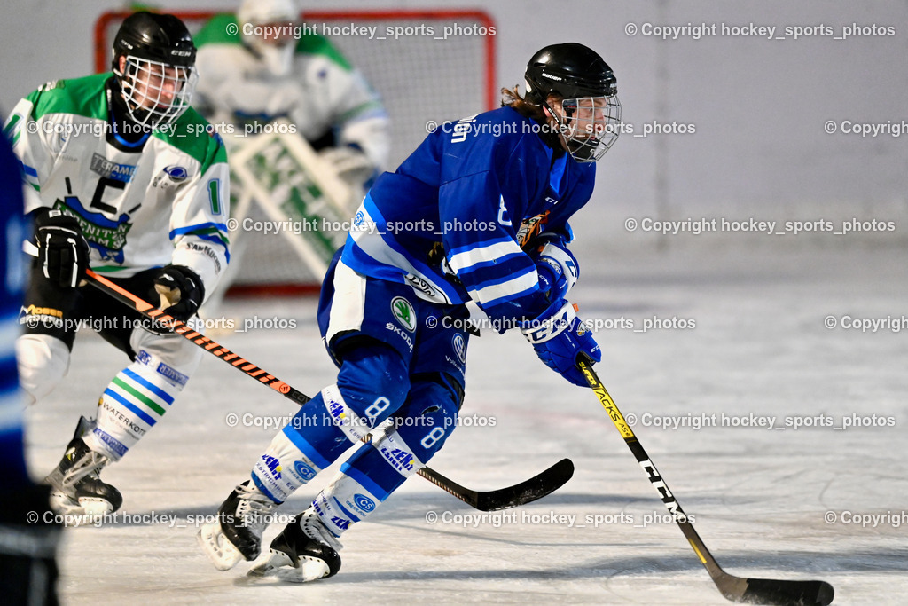 EC Tigers Paternion vs. EC Feld am See Ledenitzen | #8 Wappis Christof EC Tigers Paternion, EC Tigers Paternion vs. EC Feld am See Ledenitzen, EC Tigers Paternion vs. EC Feld am See Ledenitzen am 19.01.2025 in Villach (Eisplatz Paternion), Austria, (Photo by Bernd Stefan)