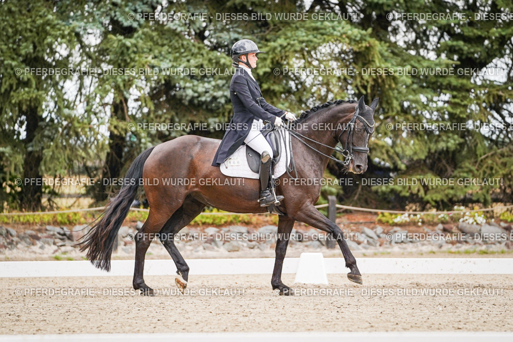 DSC07040 | Pferdegrafie