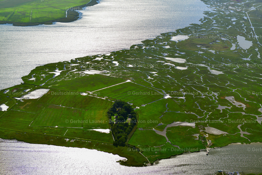 3638209 | Nationalpark Vorpommersche Bodenlandschft, ZINGST 25.08.2016 Salzgrasland- Insel und Vogelschutz- Gebiet in Zingst an der Ostseeküste im Bundesland Mecklenburg-Vorpommern, Deutschland.