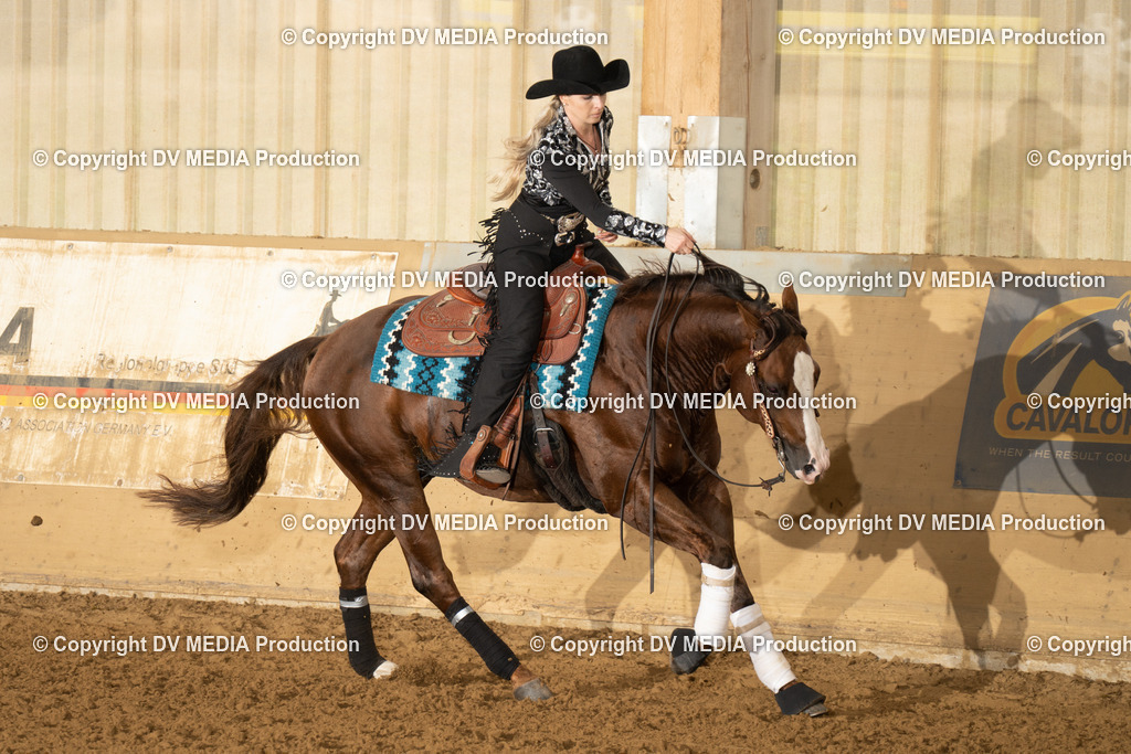 LAU00817 | dv-media-shop - Realisiert mit Pictrs.com