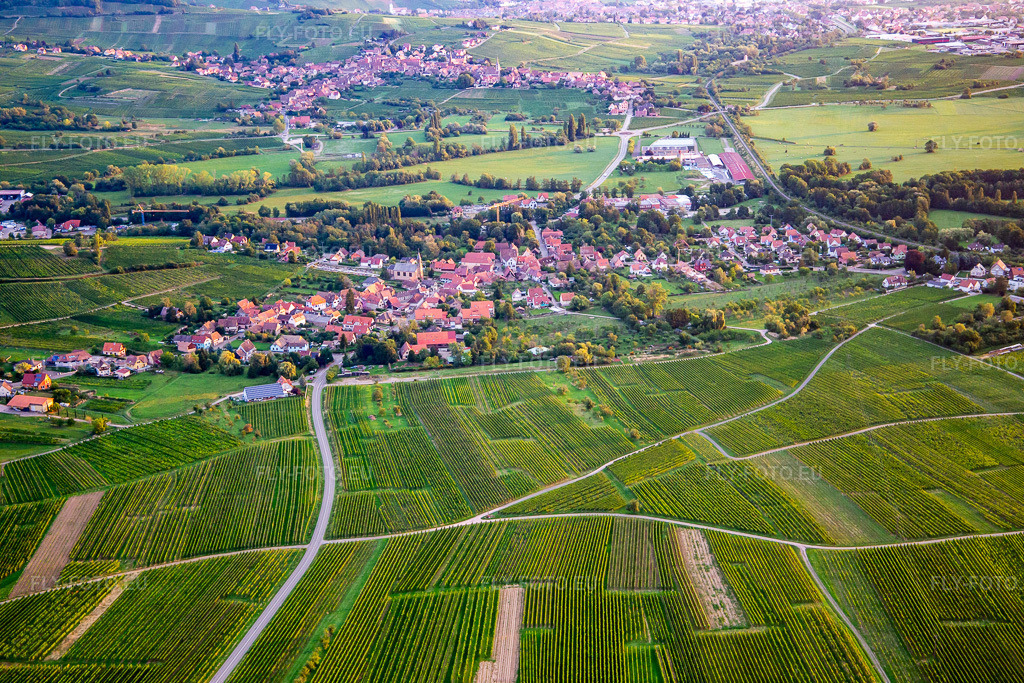Vue aérienne: Vue de la ville depuis le sud à Eichhoffen dans le département Bas Rhin, France. Photo: IMG_137947.jpg prise le 19/08/2023 par Werner Riehm/FLY-FOTO.eu – Résolution de l'original: 5472 x 3648 px