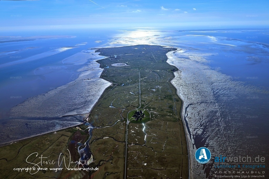 Wattenmeer, Fahrrinne und Priele - Hallig Hooge - Hallig Langeneß | Die Schutzstation Wattenmeer auf Hallig Langeneß bietet verschiedene Veranstaltungen an, wie zum Beispiel Vögelbeobachtungen, Wanderungen und Vorträge über das Leben auf der Hallig. Einige der geplanten Veranstaltungen für März 2025 sind beispielsweise eine Führung zum Vögelbeobachten und eine Abendwanderung bei Dämmerung.