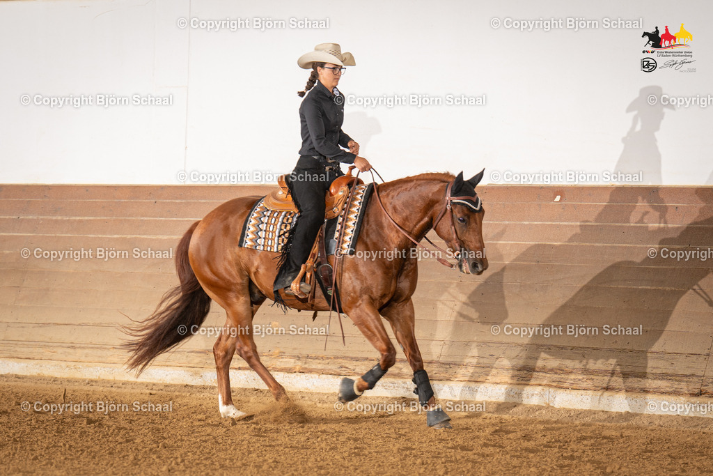 LMS06531 | BS-foto