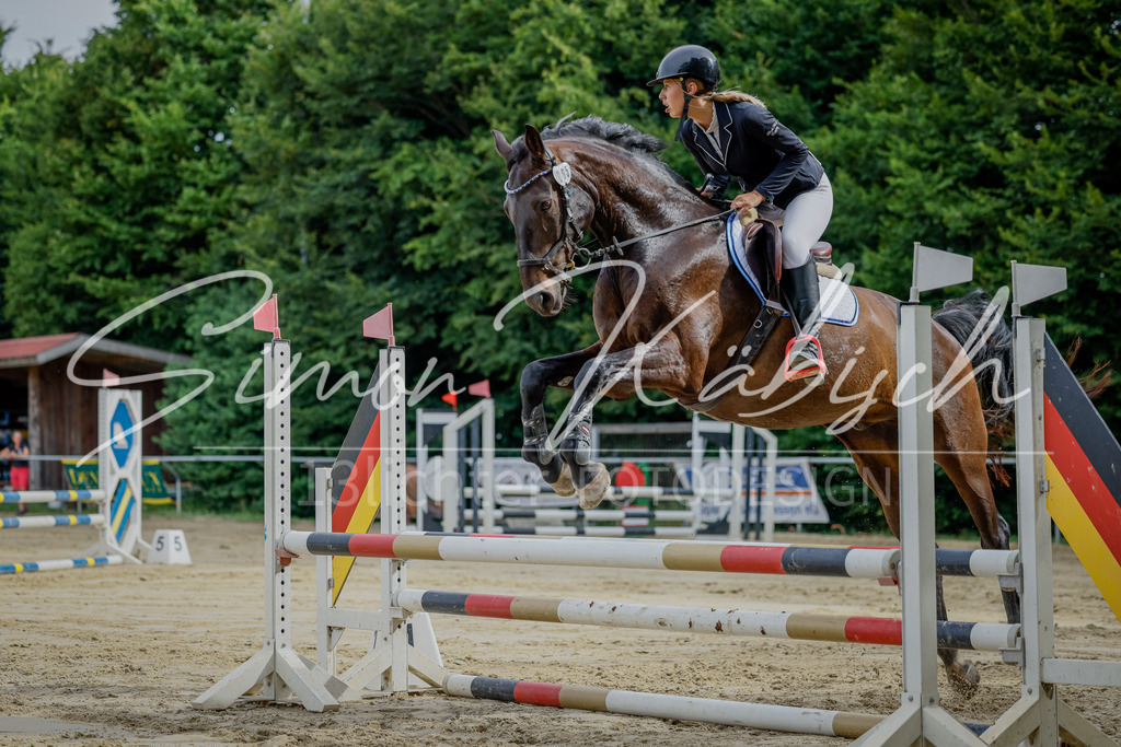 20250706-_3LI0738 | Tierfotografie Pferde, Hunde, Katzen, Haustiere.
Turnierfotografie Reitturniere, Reiten, Springreiten, Dressur in Hanau, dem Main-Kinzig-Kreis und dem Rhein-Main- Gebiet um Frankfurt