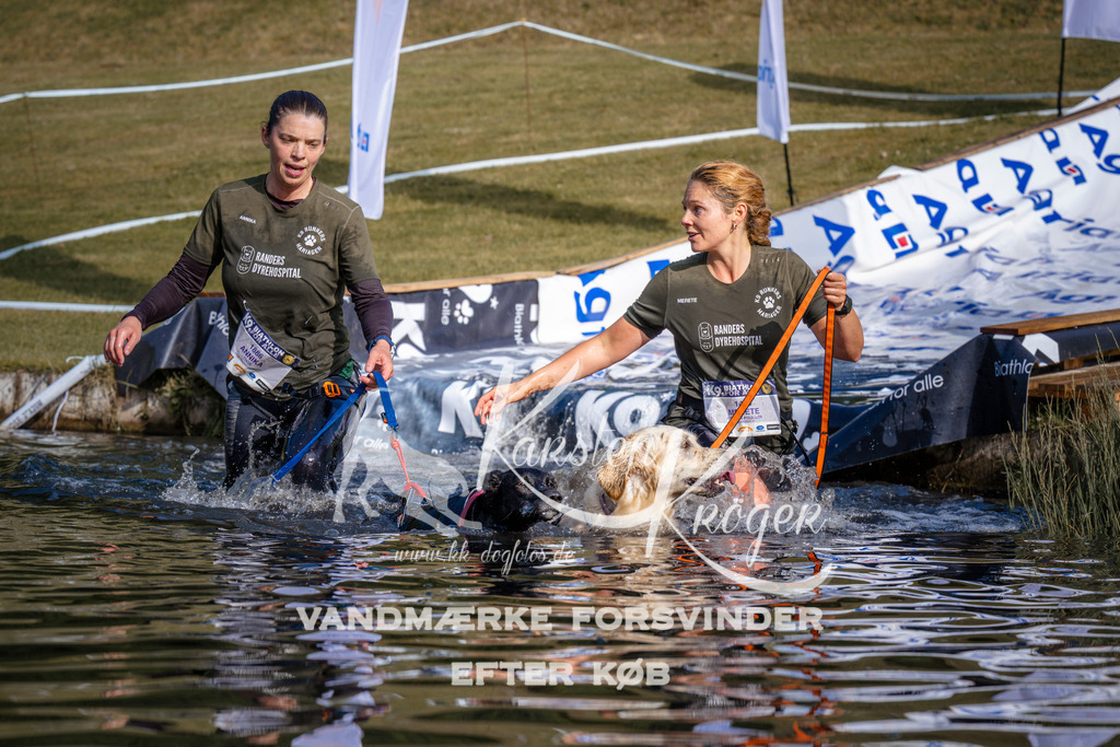 _ZZ948980720 | kk-dogfotos