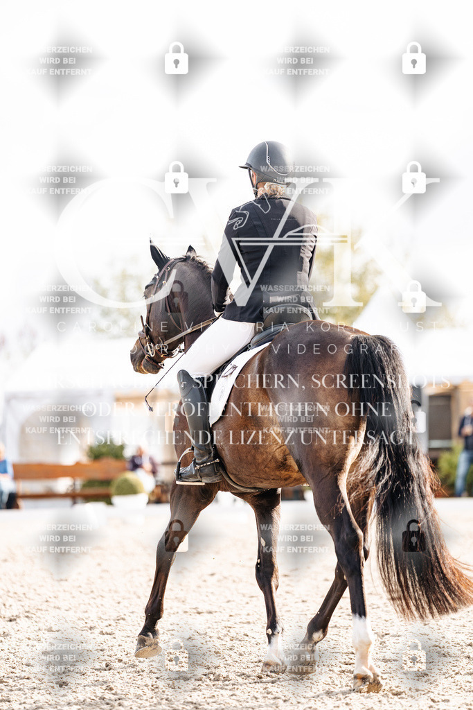 CK901296 | Turnierfotografie Pferdefotografie Trier Rheinland-Pfalz Pferdesport Reitsport Tierfotografie Sportfotografie Pferdevideo Pferdevideografie Equestrianvideography equestrianphotography  - Realisiert mit Pictrs.com