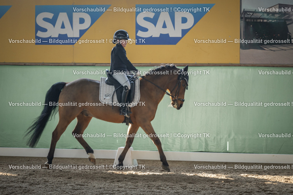 _D5A8538 | Emotionale Pferde- & People-Fotografie rund um Heidelberg, Leimen & Umgebung. Natürliche Fotos von Pferd, Mensch & Familie. Jetzt Termin sichern!