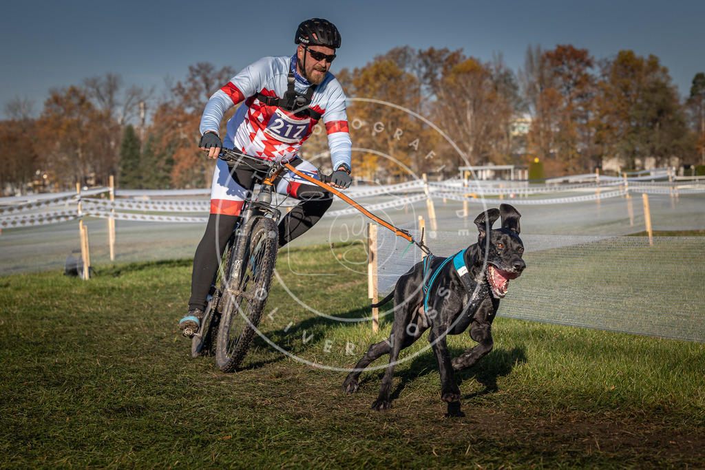 CaniXpix_0L8A4610 | Hundefotografie, Tierfotograf, Pfotenfotografie, Fotoshooting Hund, Hunde Portrait, Hundesport, Hundeportraits, Heideshooting, Hunde, Sportfotograf, Hundefotograf, Turnierhundsport, THS,  - Realisiert mit Pictrs.com