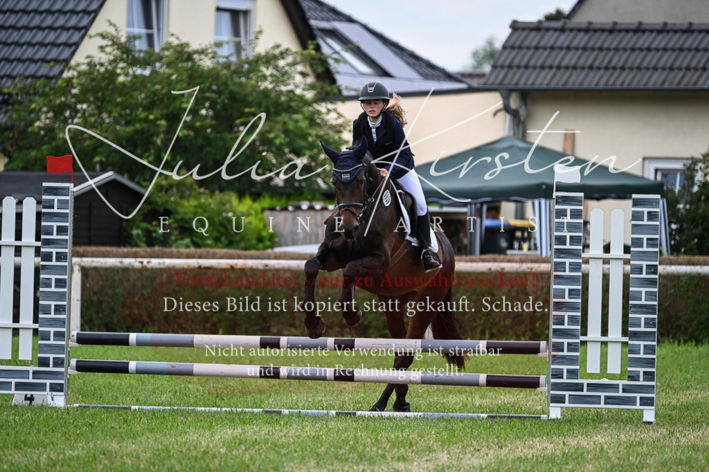 DSC_8561 | Pferde- und Turnierfotografie in Westsachsen. Pferdeportraits, Auftragszeichnungen und intuitive Kunst.