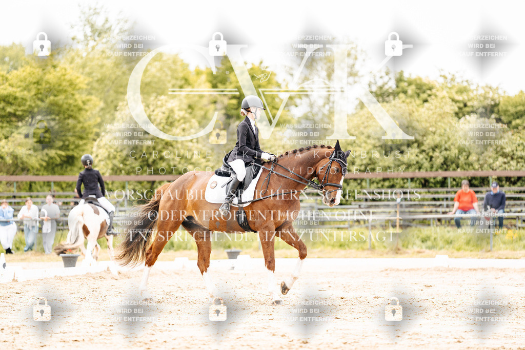 CK902982 | Turnierfotografie Pferdefotografie Trier Rheinland-Pfalz Pferdesport Reitsport Tierfotografie Sportfotografie Pferdevideo Pferdevideografie Equestrianvideography equestrianphotography  - Realisiert mit Pictrs.com