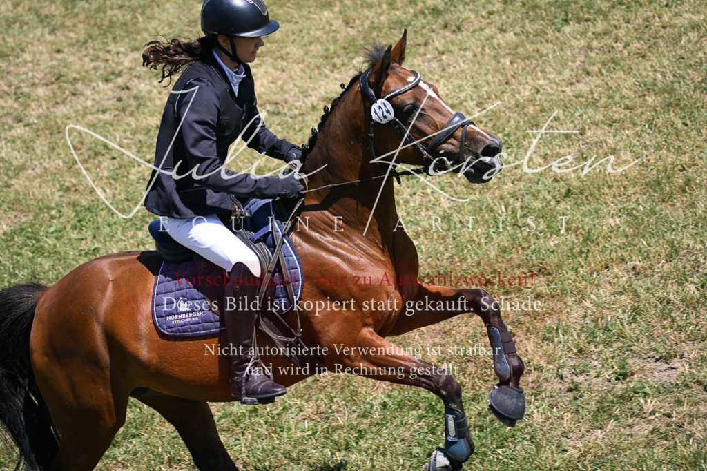 DSC_0040 | Pferde- und Turnierfotografie in Westsachsen. Pferdeportraits, Auftragszeichnungen und intuitive Kunst.
