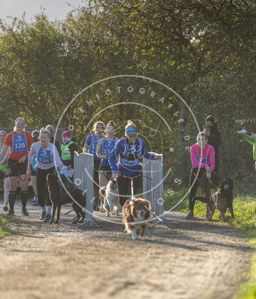 Pfotenfotografie.de_DV3A2896 | Hundefotografie, Tierfotograf, Pfotenfotografie, Fotoshooting Hund, Hunde Portrait, Hundesport, Hundeportraits, Heideshooting, Hunde, Sportfotograf, Hundefotograf, Turnierhundsport, THS, canicross - Realisiert mit Pictrs.com
