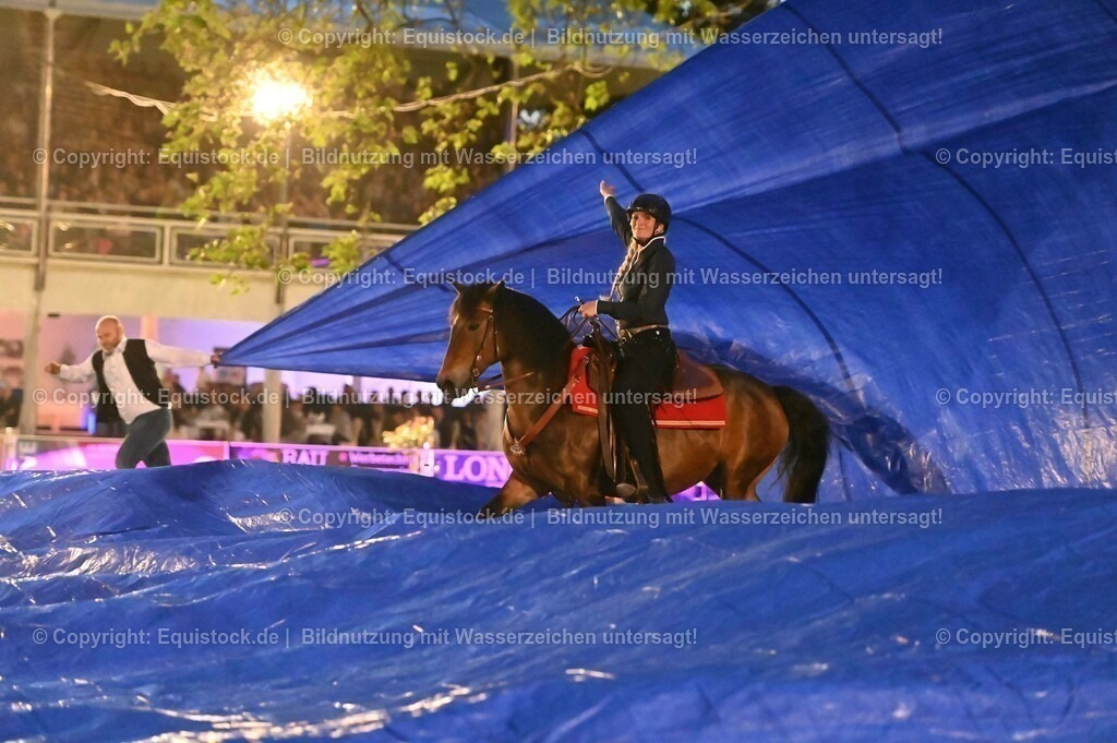 20230526_Pferdenacht_1055 | equistock