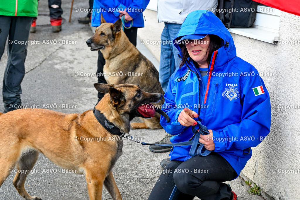 ASVÖ_ Tracking Dog World Championship 2025_ 31.03.2025-174 | 31.03.2025, AUT, ASVÖ, Tracking Dog World Championship // FCI IGP Fährtenhundeweltmeisterschaft 2025©fodo.media / Harald Dostal - Realisiert mit Pictrs.com