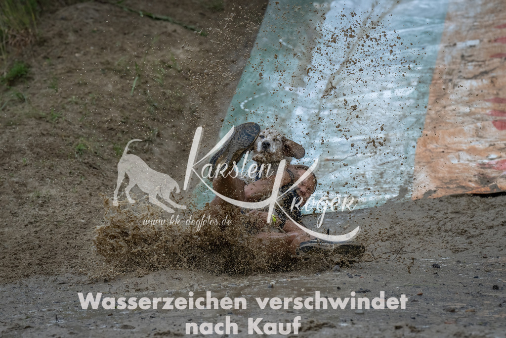 1614_ZZ90492-Bearbeitet | kk-dogfotos