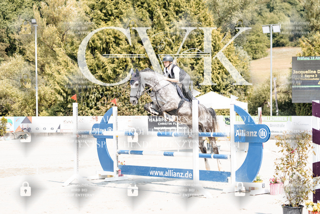 CK901113 | Turnierfotografie Pferdefotografie Trier Rheinland-Pfalz Pferdesport Reitsport Tierfotografie Sportfotografie Pferdevideo Pferdevideografie Equestrianvideography equestrianphotography  - Realisiert mit Pictrs.com