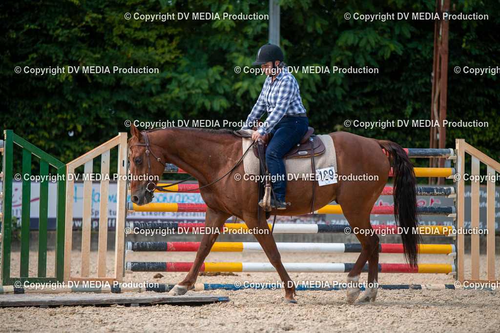 EWP_6801 | dv-media-shop - Realisiert mit Pictrs.com