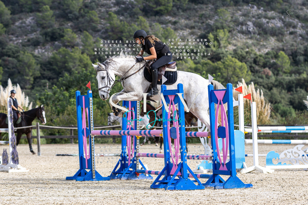 IMG_3239 | s-jay-photography - Realisiert mit Pictrs.com