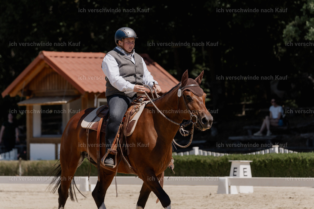 WE_DR_107_SinaFilmArt_IN03532 | working equitationturnier fotograf videograf stoibphotography marixx film working equitation deutschland reitsport turnierfotografie eventfotografie equestrian events
