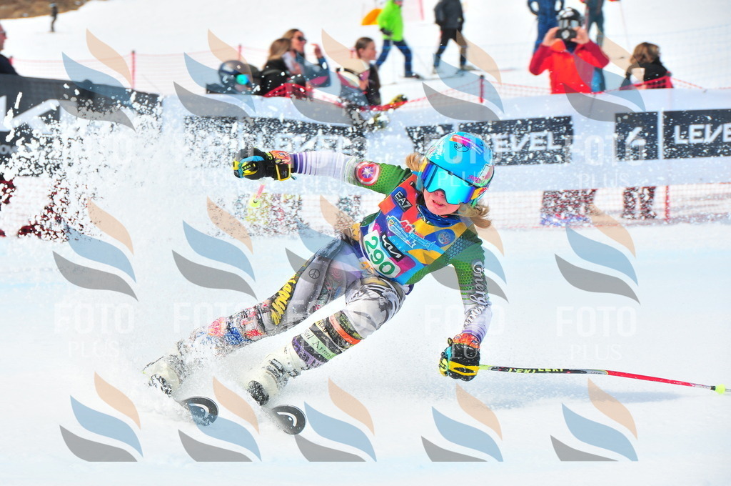 DSC_2708 | holidayphoto