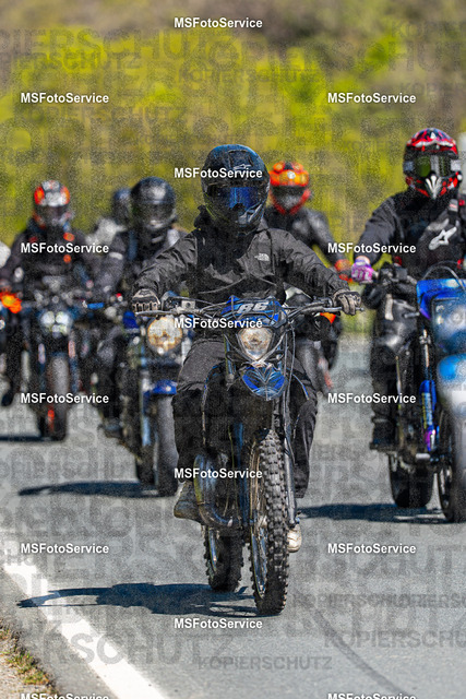 MSFotoServiceXXX178 | MSFotoService - Realisiert mit Pictrs.com