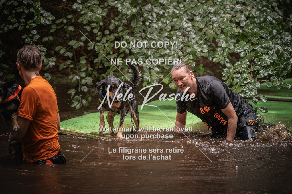 nelerasche_Wingst_Sa1330-1400_144 | nelerasche