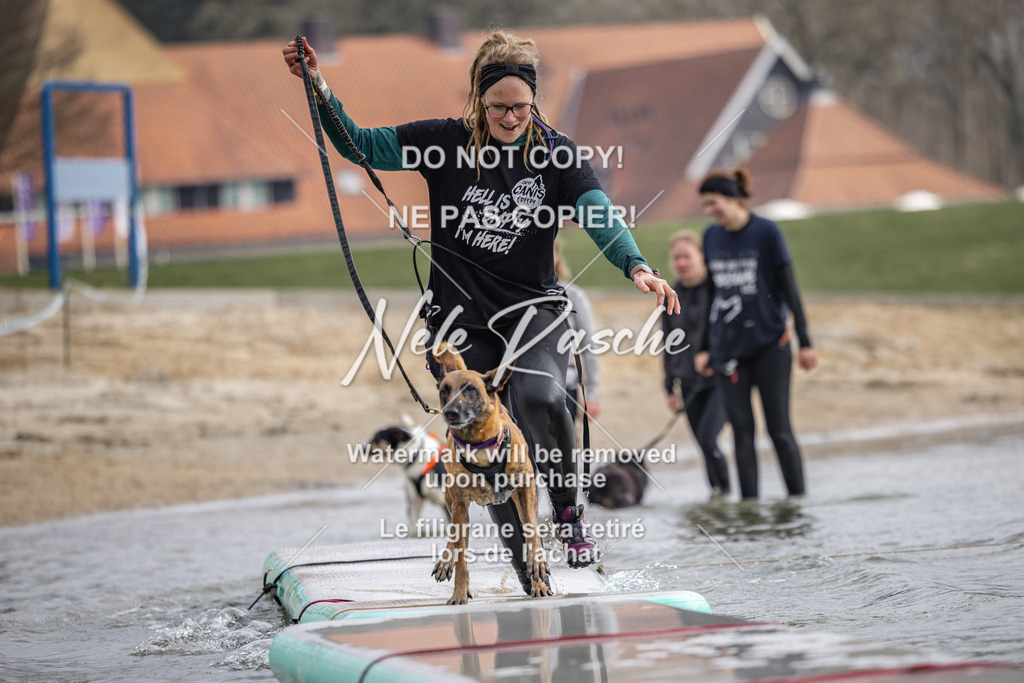nelerasche_Hulsbeek_Sa1230-1330_77 | nelerasche