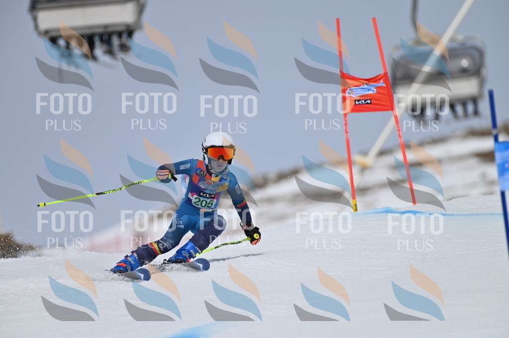 BGV_3942 | holidayphoto