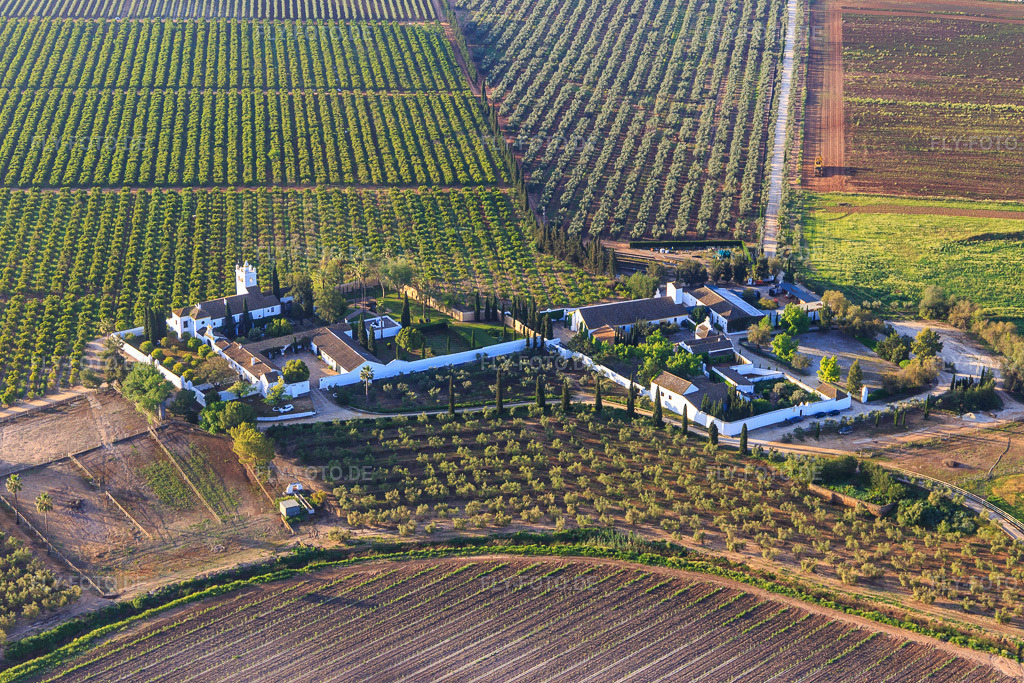 Luftbild: Hacienda de Clarevot zwischen Olivenbaumplantagen in Alcalá de Guadaíra im Bundesland Sevilla in Spanien. Foto: IMG_145718.jpg vom 22.04.2025 durch Werner Riehm/FLY-FOTO.dehaciendadeclarevot.com