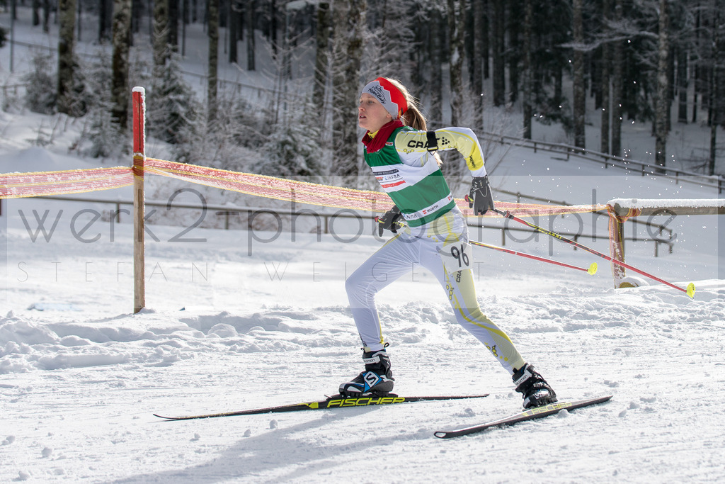 DSC Notschrei | 2. DSV E.INFRA Schülercup im Nordic-Center Notschrei vom 2. - 3. Februar 2019