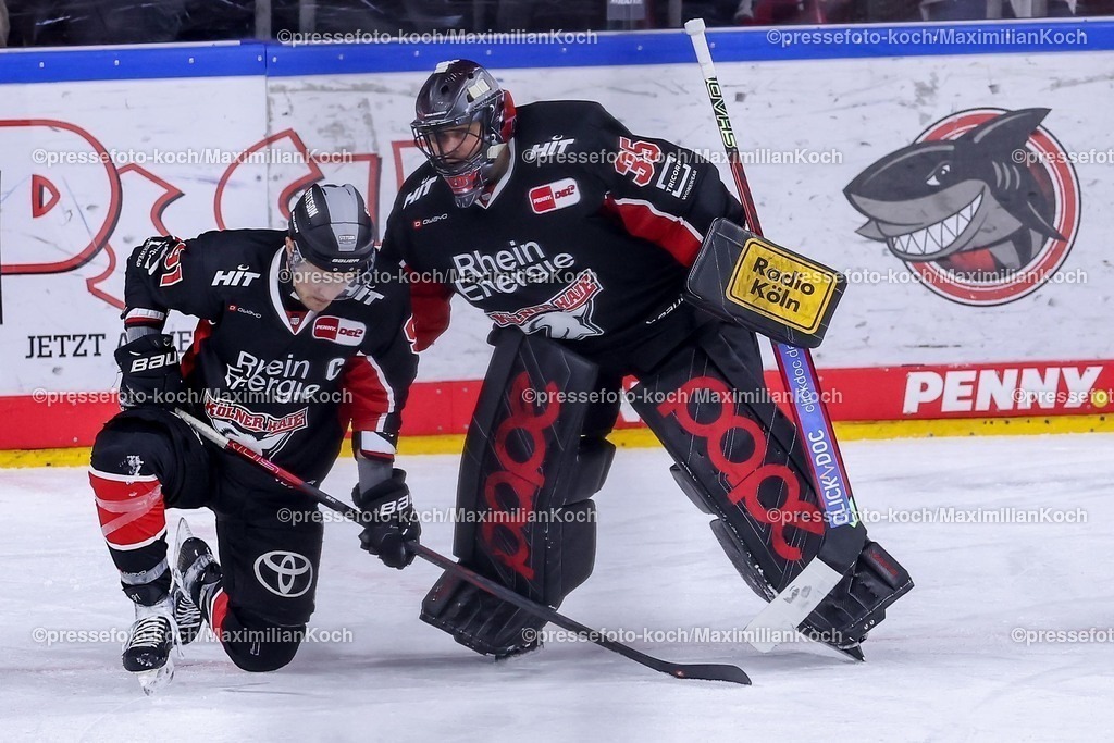KEC28012501073 | 28.01.2025, Eishockey, DEL, Kölner Haie - EHC Red Bull München, Spieltag 41, Lanxess-Arena Köln: Tiefe Enttäuschung bei der Mannschaft der Kölner Haie nach der 2:3 Niederlage. Moritz Müller (Kölner Haie #91) kniet enttäuscht neben Julius Hudacek (Kölner Haie #35) auf dem Eis.