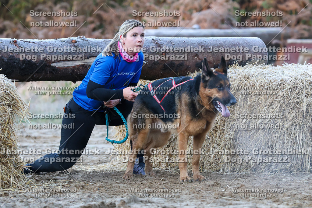 Dog Paparazzi - Strongdog 10-25-339 | Dog Paparazzi Jeanette Grottendiek Fotografie & Videografie - Realisiert mit Pictrs.com