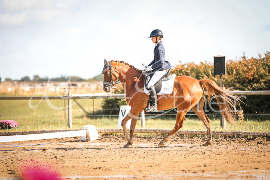 07.SoDrE00108 | Leoni Ertmer Photography - Realisiert mit Pictrs.com