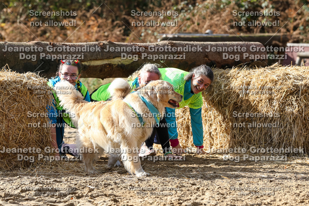 Dog Paparazzi - Strongdog 10-25-5586 | Dog Paparazzi Jeanette Grottendiek Fotografie & Videografie - Realisiert mit Pictrs.com
