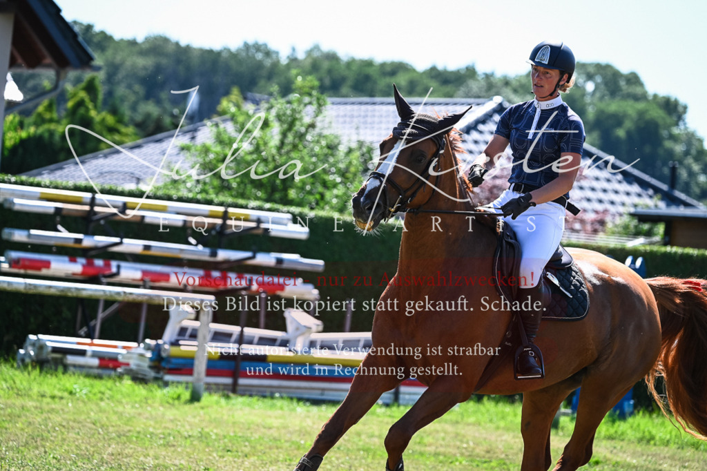 DSC_1576 | Pferde- und Turnierfotografie in Westsachsen. Pferdeportraits, Auftragszeichnungen und intuitive Kunst.