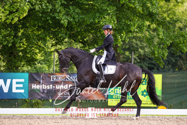 DKP41739 | Turnierfotos kaufen im Webshop von Daniel Kuhl Photography – entdecke professionelle Reitsportfotos aus Turnieren & Events. Hochwertige Turnierbilder online bestellen & sichern. Jetzt Fotos von Reitsportturnieren kaufen!