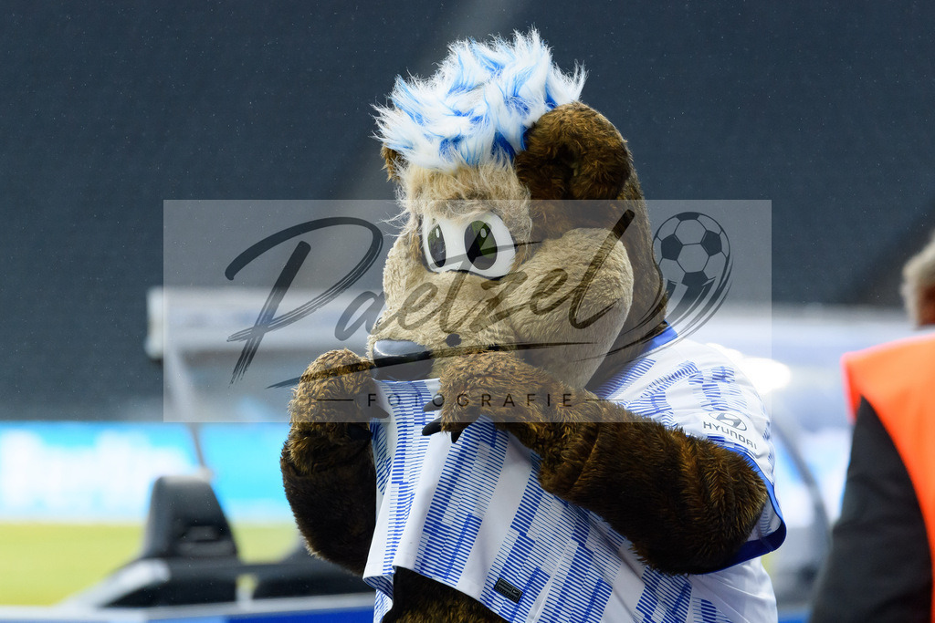 BSCFCB20220123_140 | Fussball, Herren: . Maskottchen Herthinho von Hertha BSC bei dem Spiel der 1. Bundesliga zwischen Hertha BSC und FC Bayern Muenchen im Olypiastadion am 23.01.2022 in Berlin, Deutschland.DFB / DFL REGULATIONS PROHIBIT ANY USE OF PHOTOGRAPHS AS IMAGE SEQUENCES AND/OR QUASI-VIDEO. - Realisiert mit Pictrs.com