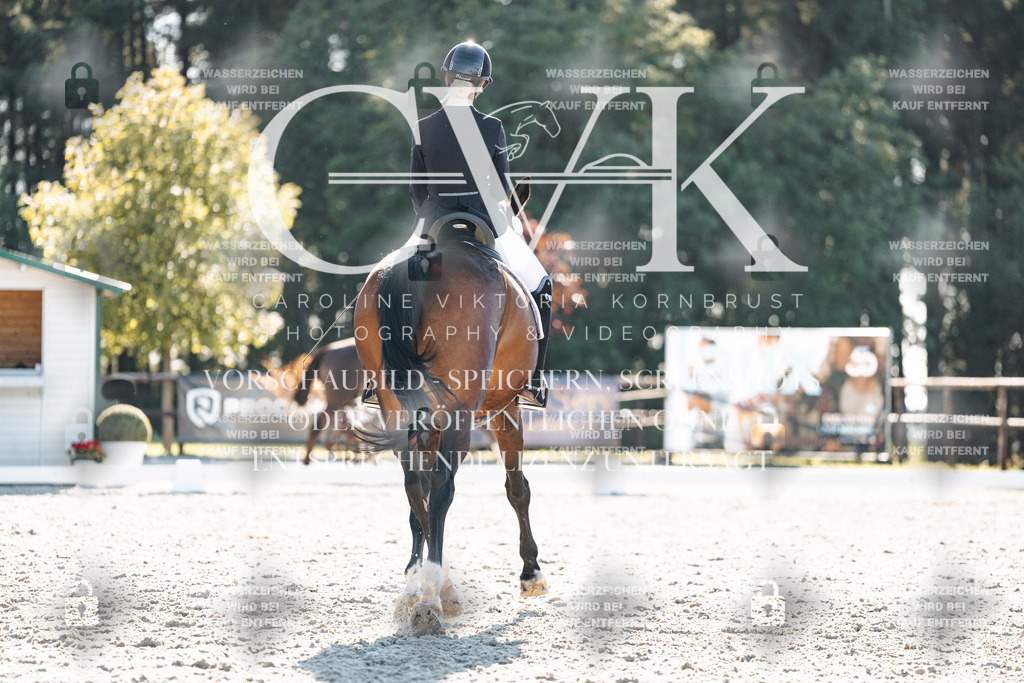 CK906448 | Turnierfotografie Pferdefotografie Trier Rheinland-Pfalz Pferdesport Reitsport Tierfotografie Sportfotografie Pferdevideo Pferdevideografie Equestrianvideography equestrianphotography  - Realisiert mit Pictrs.com