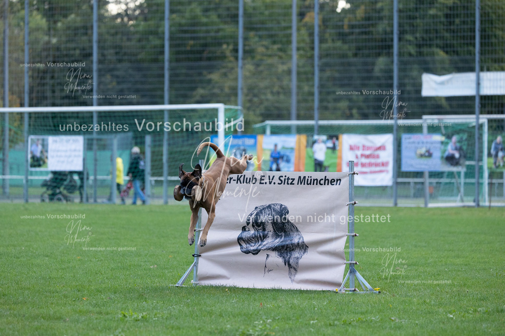 _16A4758 | Einzigartige Fotos von Hunden & Menschen –Actionfotos, Portraits, Vereinsaufnahmen & Paarshootings – authentisch, lebendig & mit Herz.