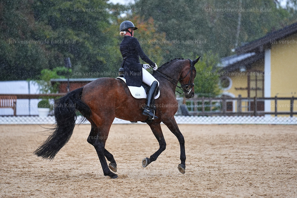 8_1-020-Klasse S_  -Marixx-4351 | working equitationturnier fotograf videograf stoibphotography marixx film working equitation deutschland reitsport turnierfotografie eventfotografie equestrian events