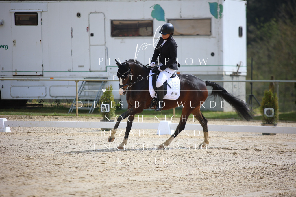 IMGT2537 | pl-fotografie