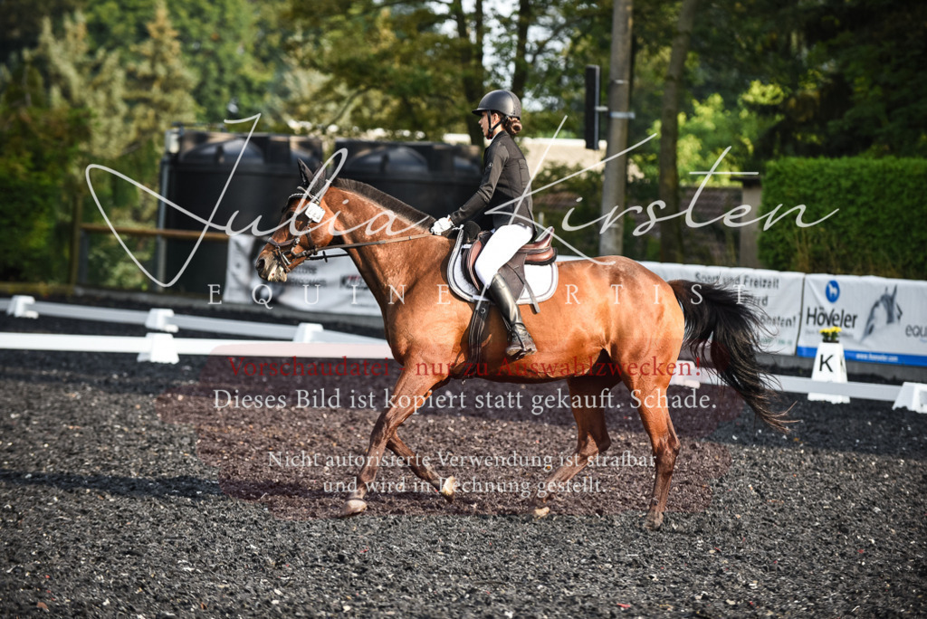 DSC_3480 | Pferde- und Turnierfotografie in Westsachsen. Pferdeportraits, Auftragszeichnungen und intuitive Kunst.