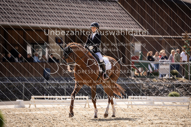 SD_OED_06529 | saradresslerfotografie - Realisiert mit Pictrs.com